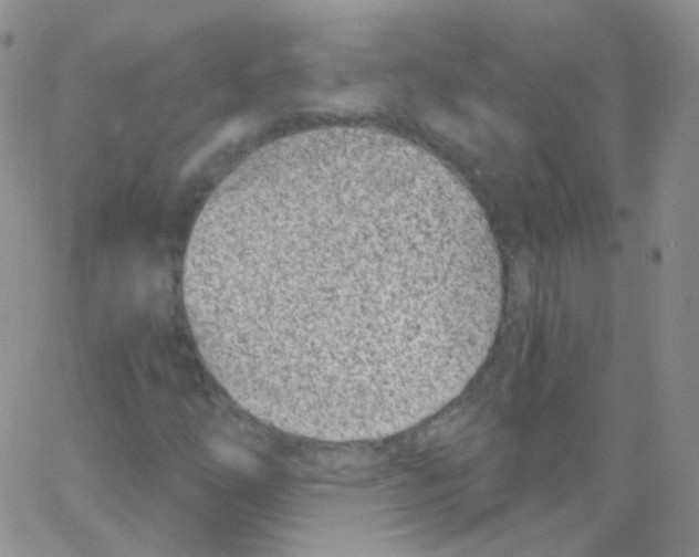 X0000062691254200601181942