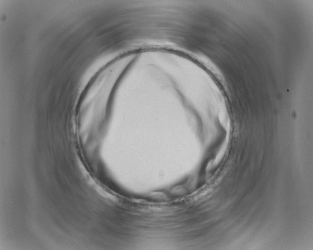 X0000062691287200601181941