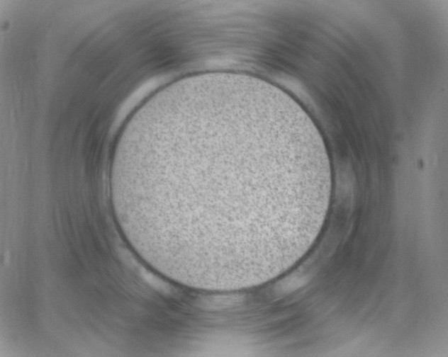 X0000062691294200601181941