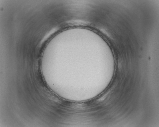 X0000062691309200601181940