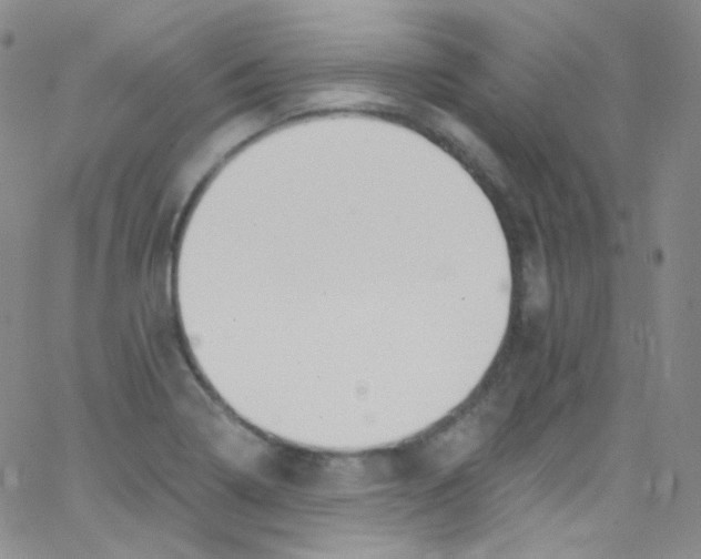 X0000062691322200601181941