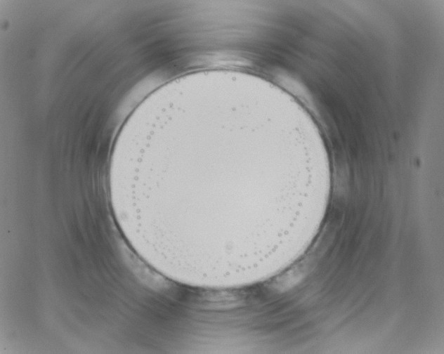 X0000062691338200601181941