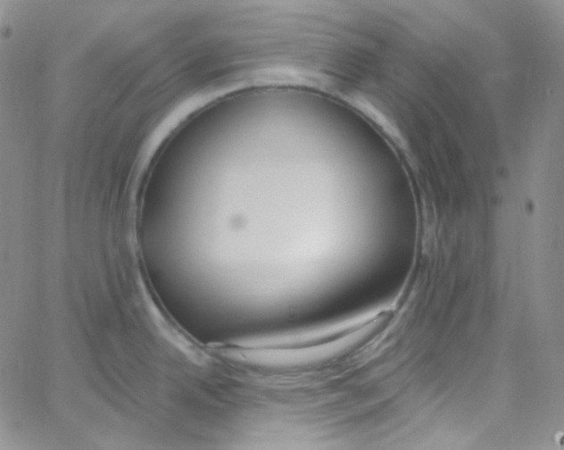X0000062691342200601181941