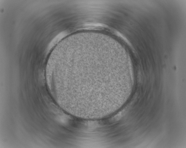 X0000062691362200601181940