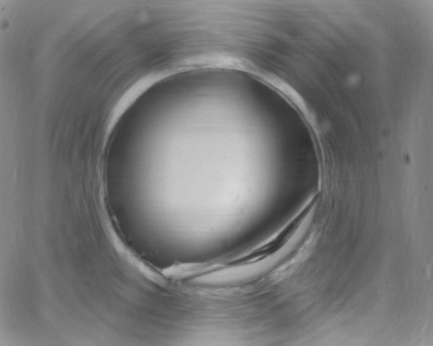 X0000062691389200601181939