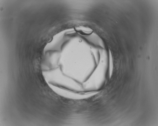 X0000062691397200601181939