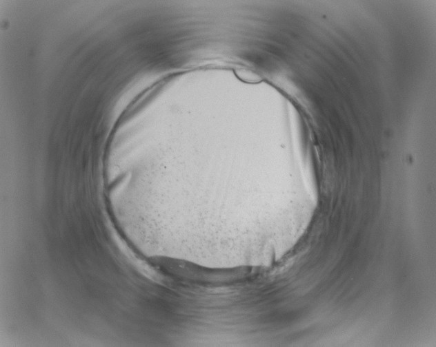 X0000062691431200601181939
