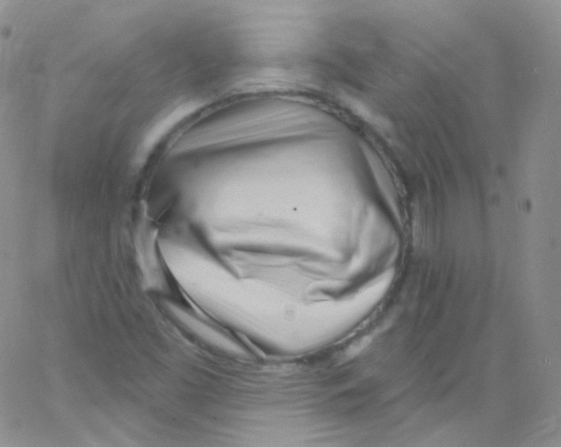 X0000062691453200601181938