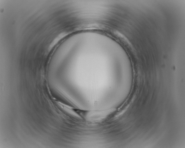 X0000062691457200601181938