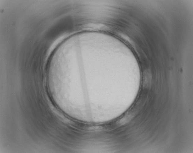 X0000062691467200601181938