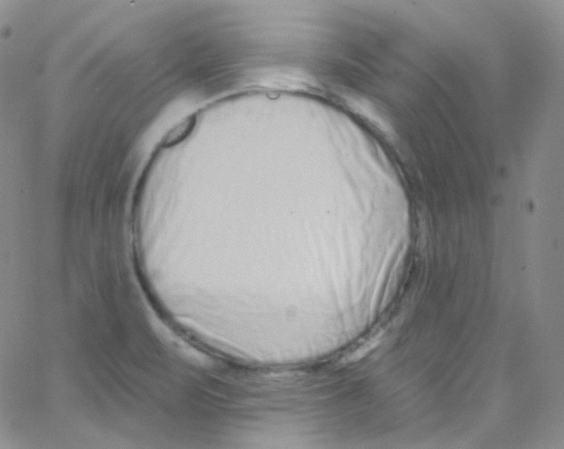 X0000062691471200601181938