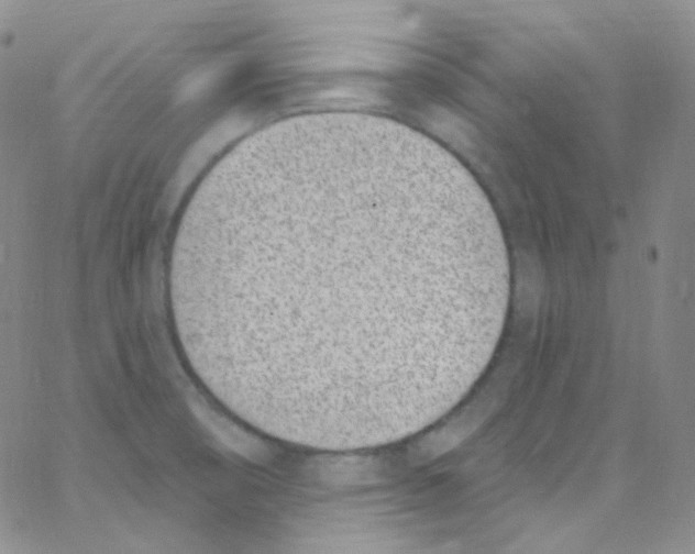 X0000062691474200601181938