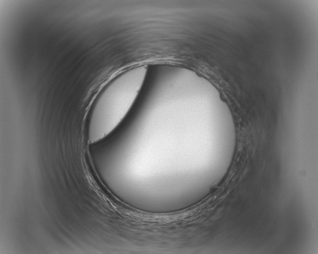 X0000062790002200512221144