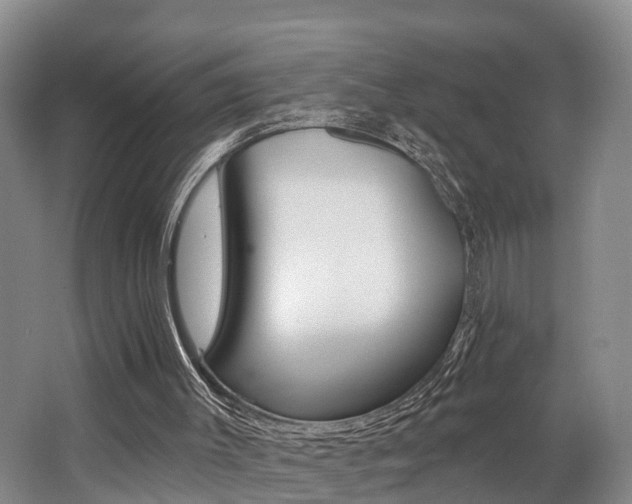 X0000062790003200512221144