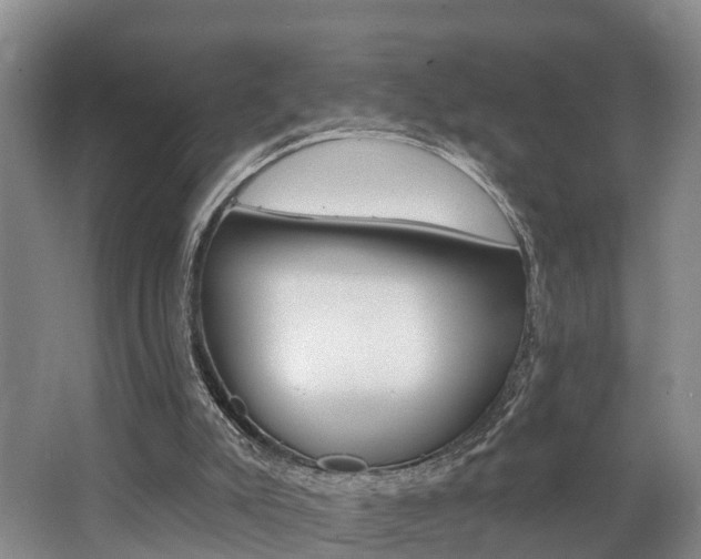 X0000062790007200512221144