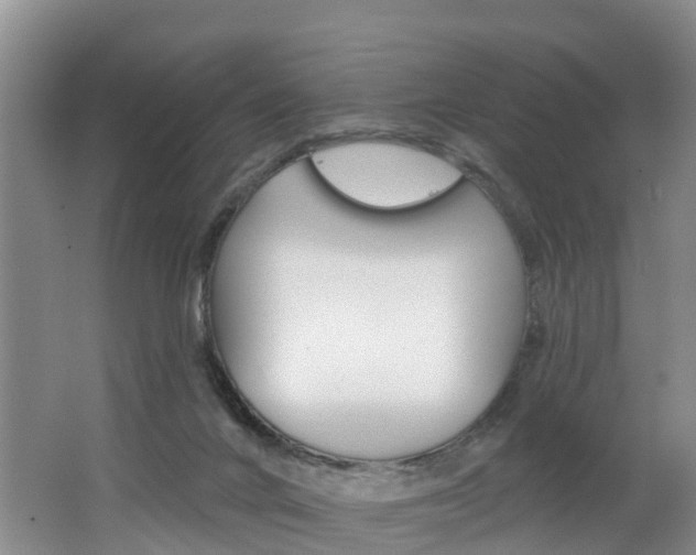 X0000062790024200512221144