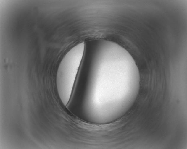 X0000062790035200512221144