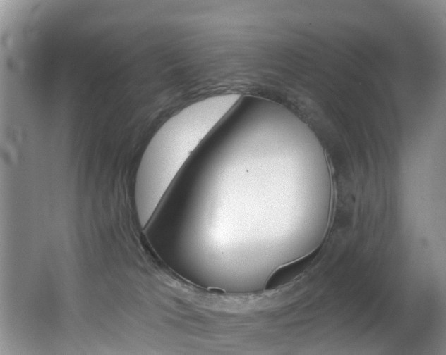 X0000062790037200512221144