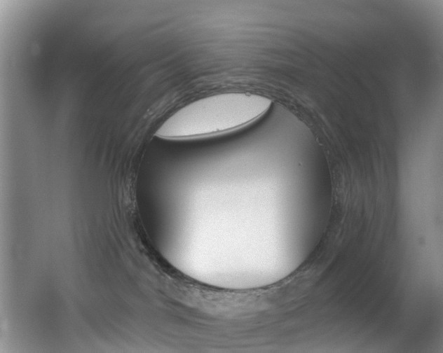 X0000062790044200512221143