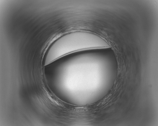 X0000062790050200512221143