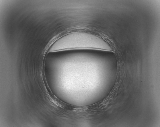 X0000062790051200512221143