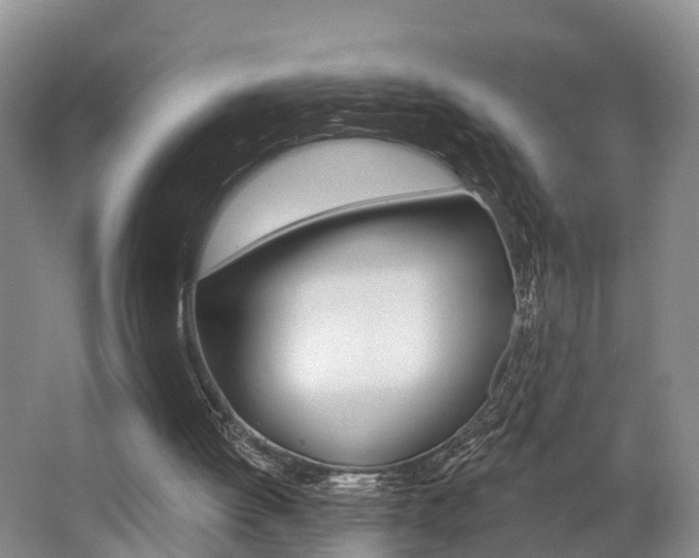 X0000062790052200512221143