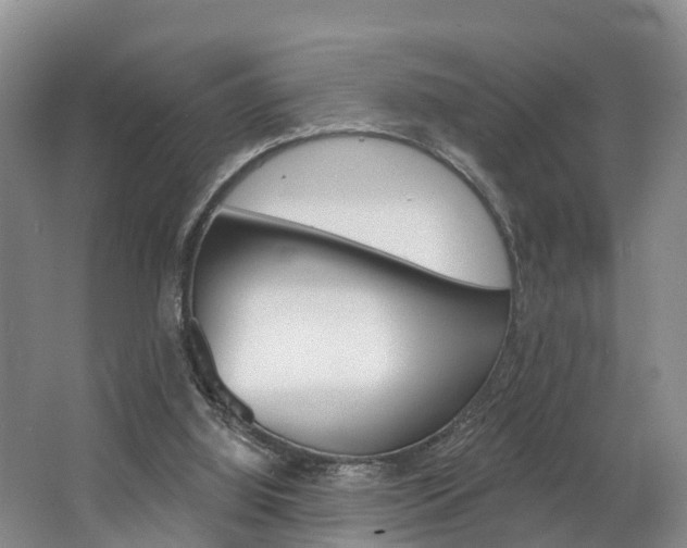 X0000062790060200512221143