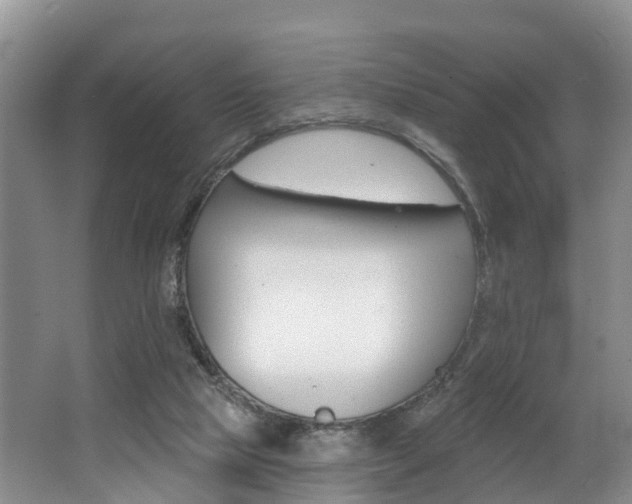 X0000062790065200512221143
