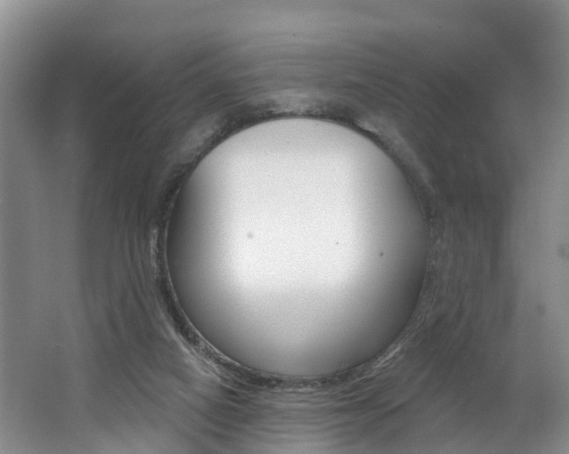 X0000062790066200512221143