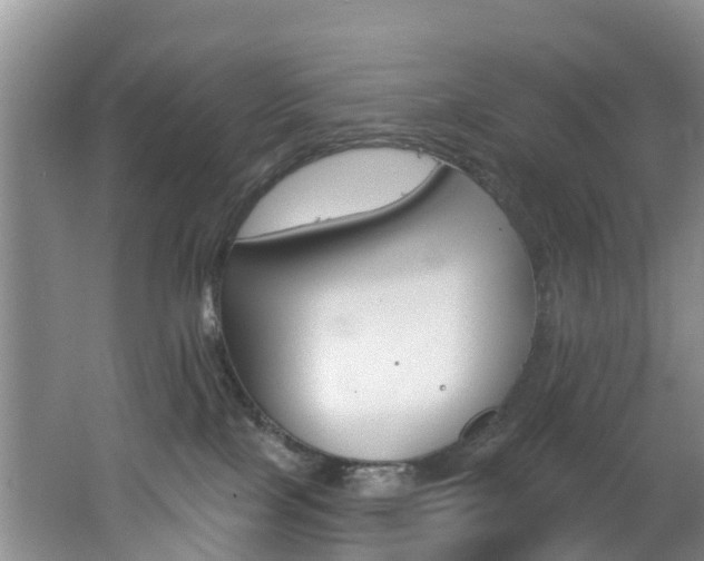 X0000062790089200512221143