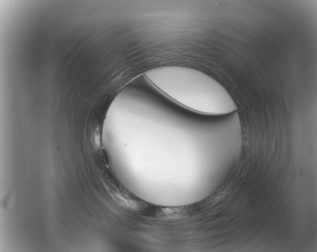 X0000062790095200512221143
