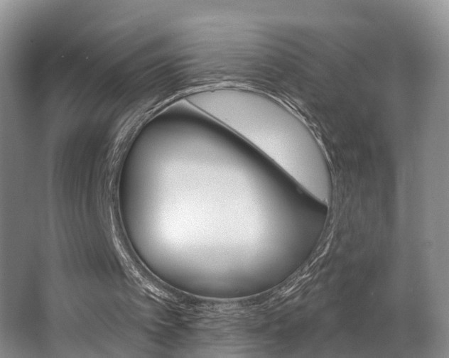 X0000062790097200512221143