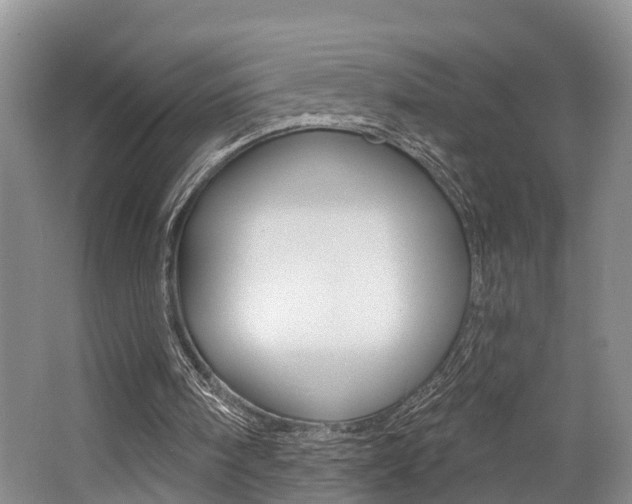 X0000062790098200512221143
