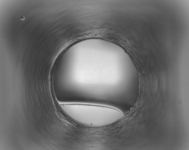 X0000062790100200512221142