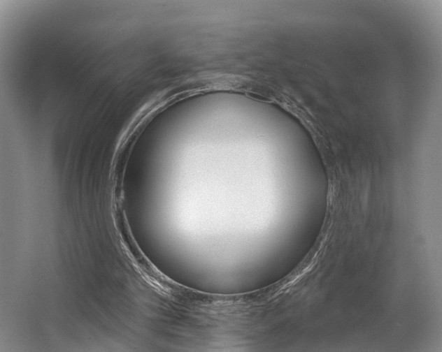 X0000062790101200512221142
