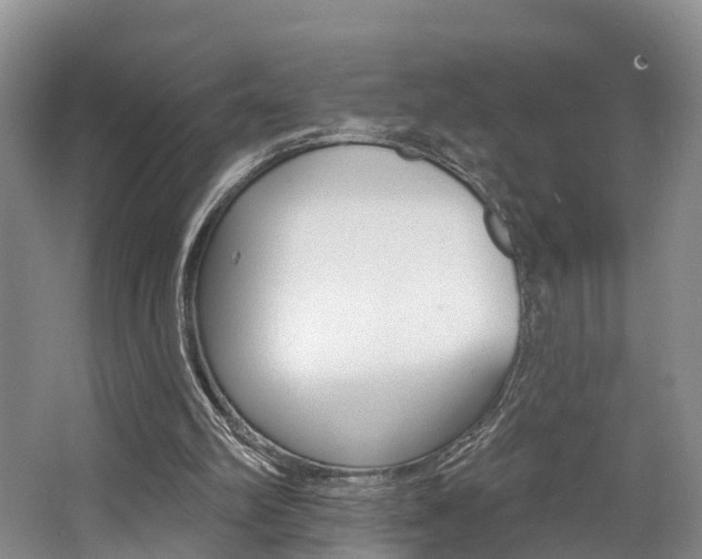 X0000062790102200512221142