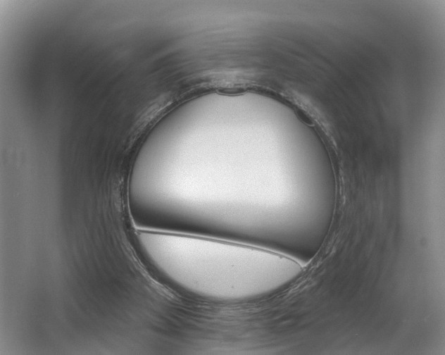 X0000062790105200512221142