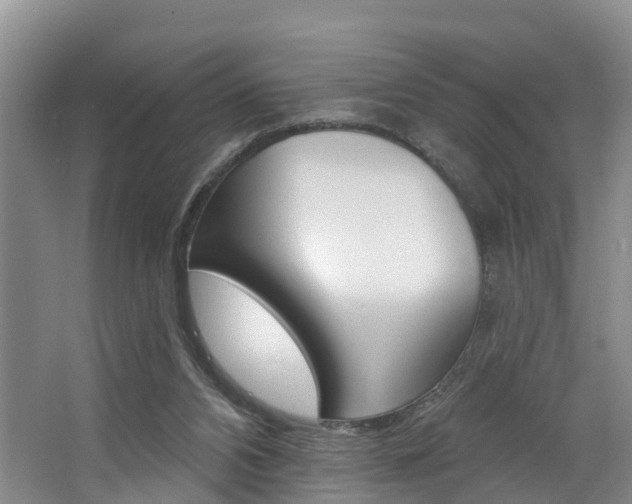 X0000062790112200512221142