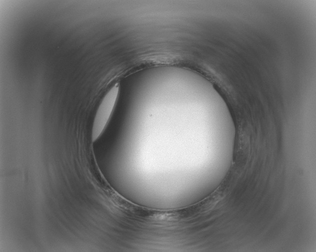 X0000062790117200512221142