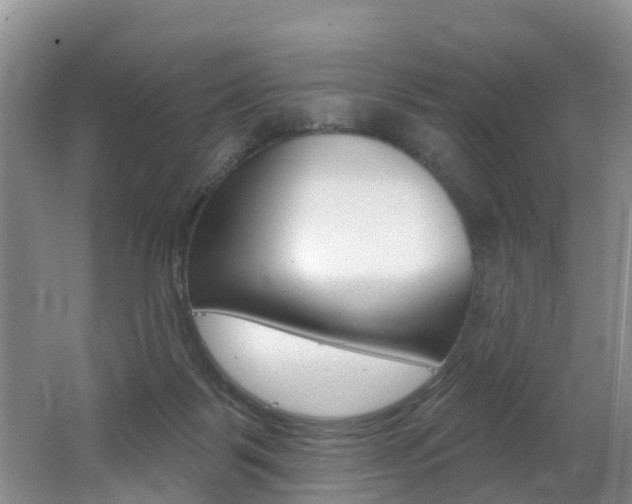 X0000062790123200512221142