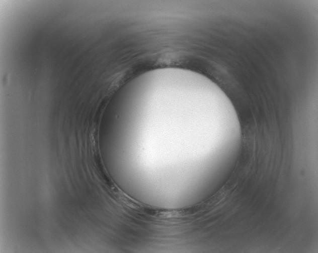 X0000062790127200512221142
