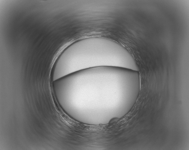 X0000062790147200512221141