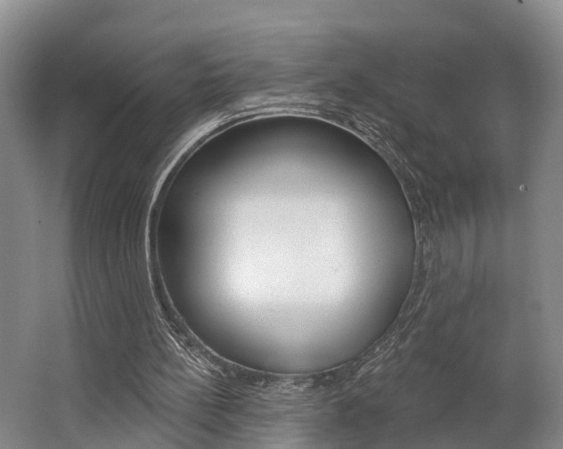 X0000062790148200512221141
