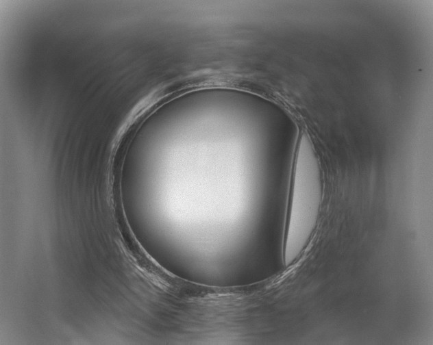 X0000062790150200512221141