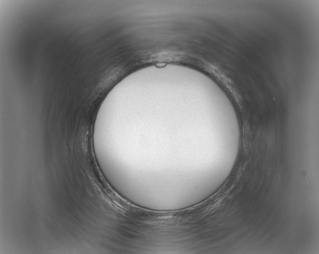 X0000062790153200512221141