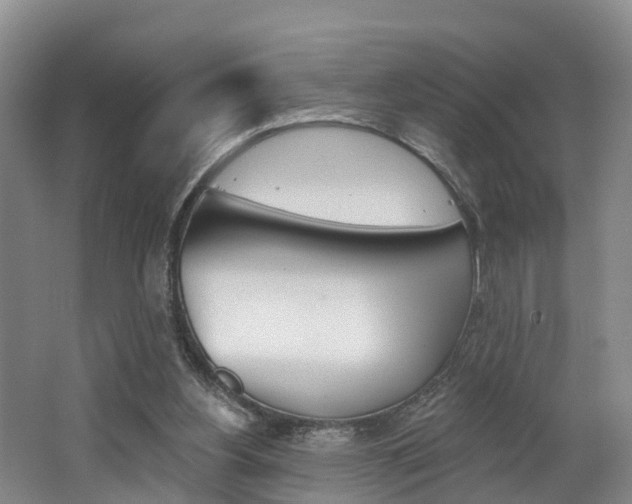 X0000062790156200512221141