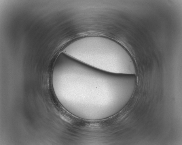 X0000062790157200512221141
