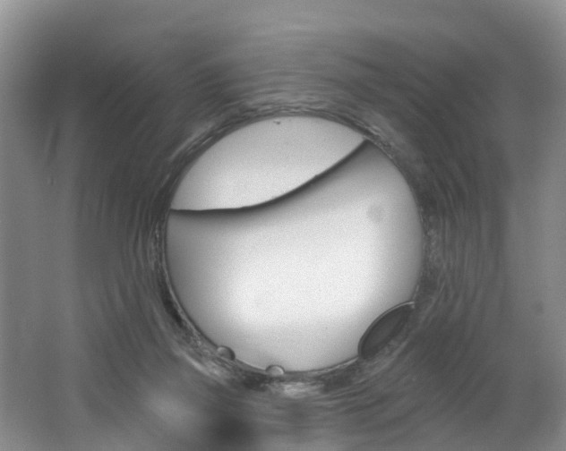X0000062790165200512221141