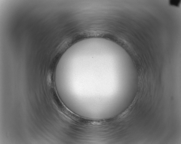 X0000062790166200512221141