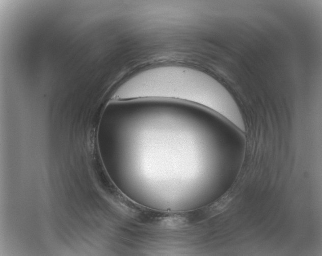 X0000062790168200512221141